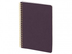 Бизнес тетрадь А5 Pragmatic