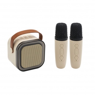 Караоке станция "Duet"