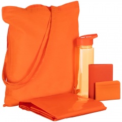 ����� Alfresco, ���������