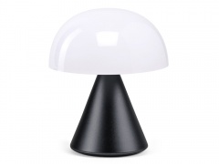 ����� ����������� Mina