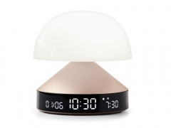 ���������� � ������ � �������� ����������� Mina Sunrise