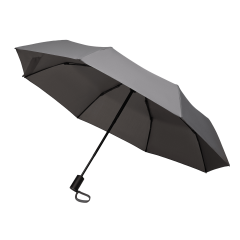 ���� �������� ������ (Passat), �����