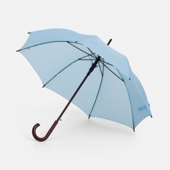 ����-������ Standard, �������