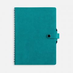 ���������� Strep Front, ��������������, ���������