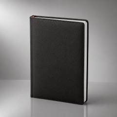 ���������� �5 �������������� Leader