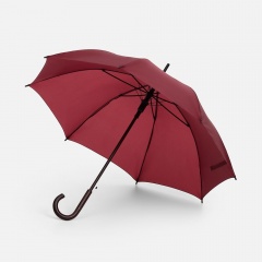 ����-������ Standard, ��������