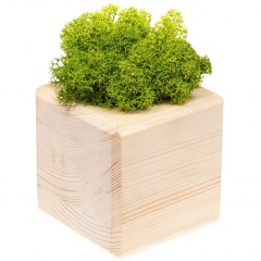   GreenBox Wooden Cube, 