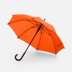 ����-������ Standard, ��������� ����