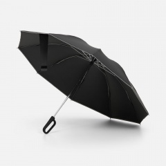 ���� ��������� �������� � ������-��������� Foldberry, ������