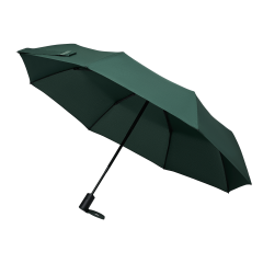 ���� �������� ������ (Passat), �������