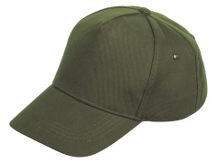 ��������� Florida 350