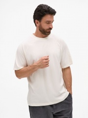 �������� ������� T2, �������-�����