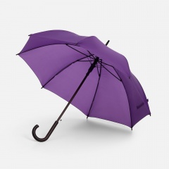 ����-������ Standard, ����������