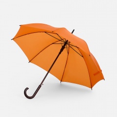 ����-������ Standard, ���������