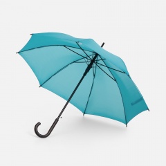 ����-������ Standard, ���������