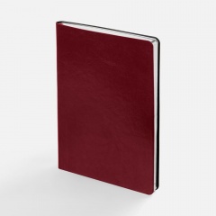 ���������� Nebraska Flex, ��������������, �������� � �����������