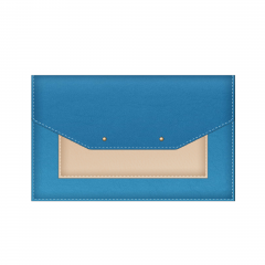 ����� ��� �������� Ipad Bag