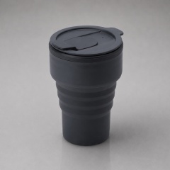 ����������� �������� ������ GoCup
