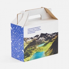 ����� Casefect �� �����, L