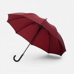 ����-������ Abrego, ��������