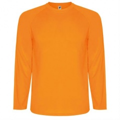   MONTECARLO L/S ,   S