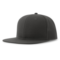  "SNAP BACK-S", 6 ,  , -, 100%  , 300 /2