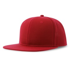  "SNAP BACK-S", 6 ,  , , 100%  , 300 /2