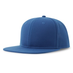  "SNAP BACK-S", 6 ,  , , 100%  , 300 /2