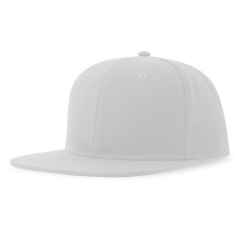  "SNAP BACK-S", 6 ,  , , 100%  , 300 /2
