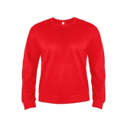   ANTARES, , 2XL, 50 % , 50% , 260 /2