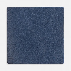 ����� ������� Pasek, L, �����