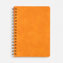 ���������� Spiral, ��������������, ���������