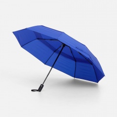 �������� ���� Dome Double � ������� �������, �����