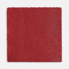 ����� ������� Pasek, L, �������