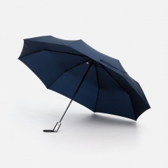 ���� �������� Fiber, �����-�����