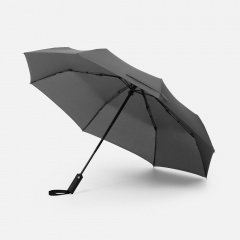 ���� �������� Smooth Move � ������� ���������, �����