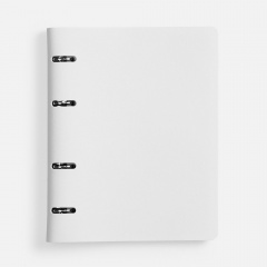 ���������� Ringo, ��������������, �����