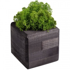   GreenBox Black Cube, 