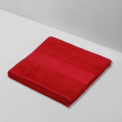 ��������� Terry 450, L