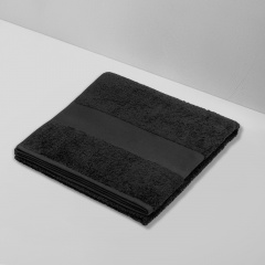 ��������� Terry 450, L