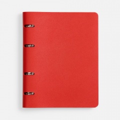 ���������� Ringo, ��������������, �������