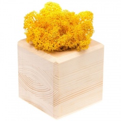   GreenBox Wooden Cube, 