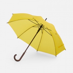 ����-������ Standard, ������