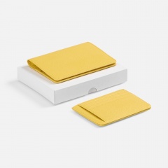 ����� Unison Mini, ������