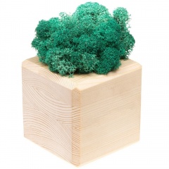   GreenBox Wooden Cube, 