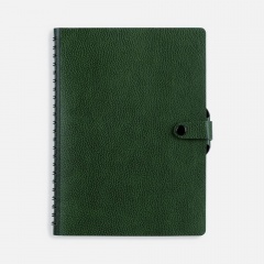 ���������� Strep Front, ��������������, �������